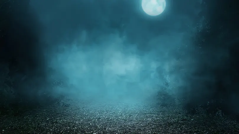 Une image du sol la nuit dans un décor très glauque