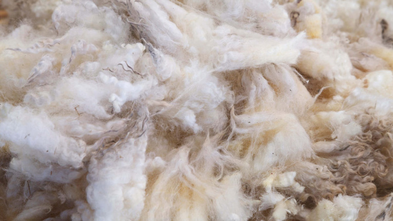 Image d'un rembourrage d'oreiller en laine