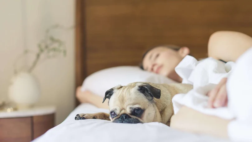 une image d'une femme dormant dans un lit avec son chien