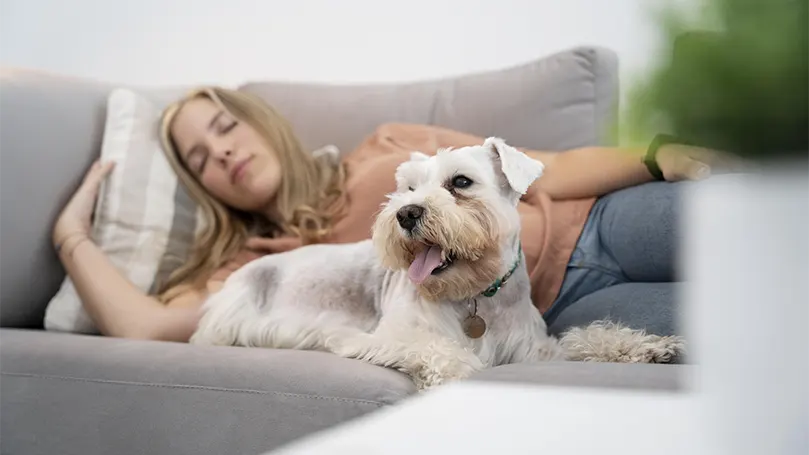 Image d'une femme dormant avec un chien sur un canapé.