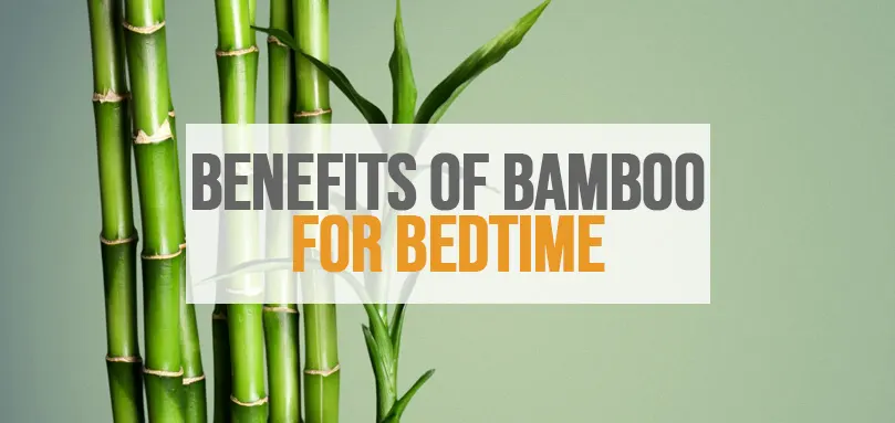 Image en vedette pour Les bienfaits du bambou