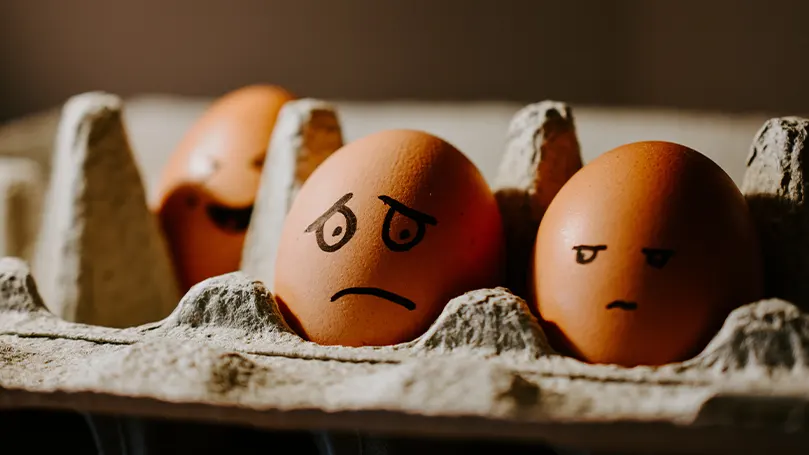 Une image d'œufs avec des visages renfrognés et malheureux dessinés.