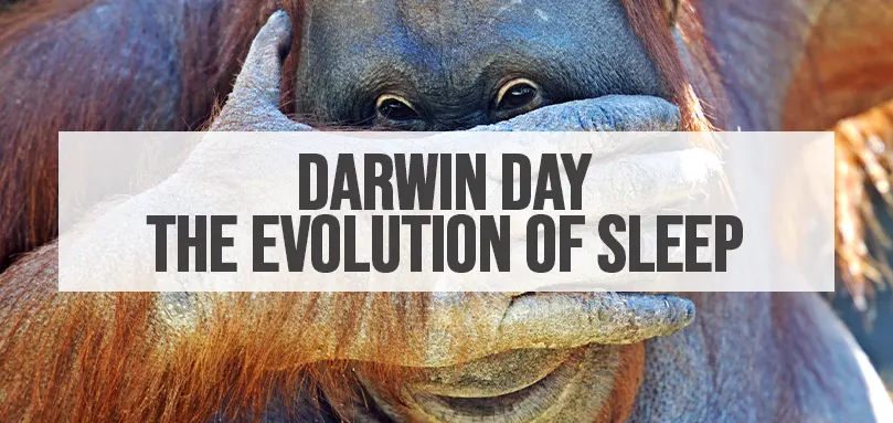 Image en vedette pour la Journée Darwin - L'évolution du sommeil
