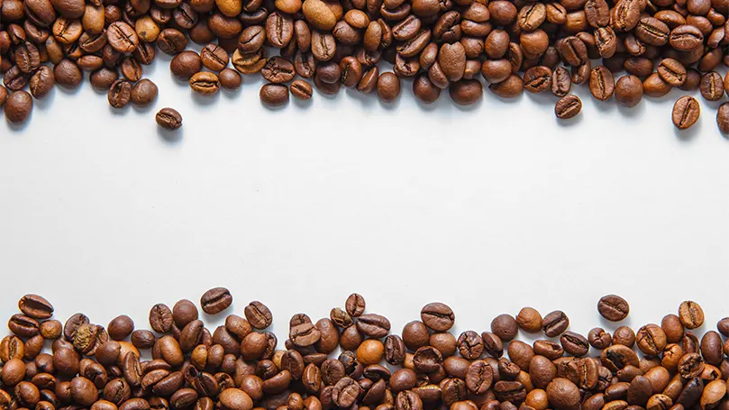 Image de deux rangées de grains de café