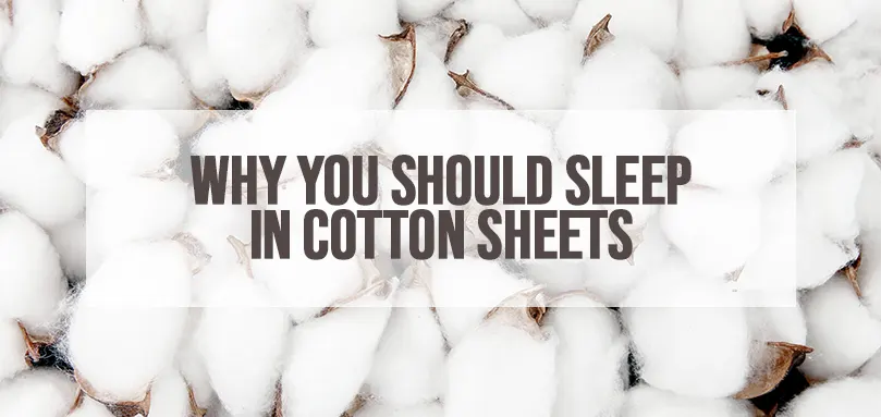 Image en vedette pour savoir pourquoi vous devriez dormir dans des draps en coton.