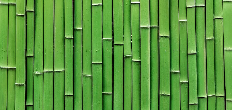 Image en vedette pour les draps de lit en bambou