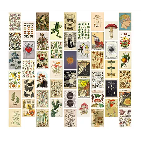 50Pcs Kit de collage mural botanique vintage