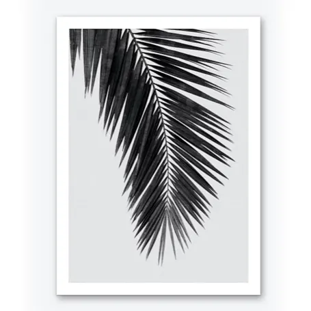 Feuille de palmier - Impression d'art noir et blanc
