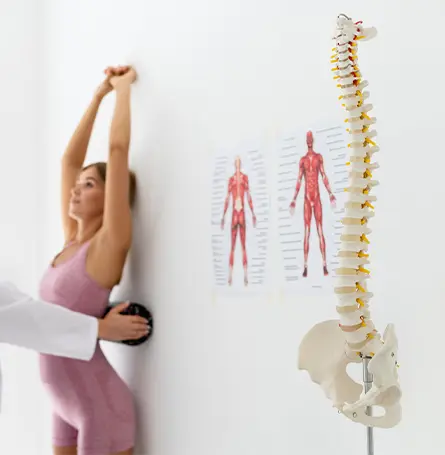 Image d'une femme faisant des exercices pour sa colonne vertébrale